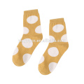 2019 Hot Sale Korea women cotton socks color dot in tube socks wholesale